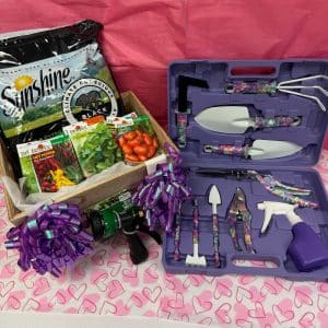 8 Spring Into Spring comp